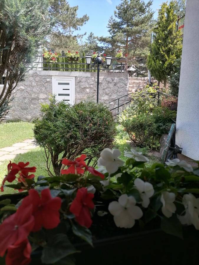 Villa Bozovic Zlatibor Eksteriør billede