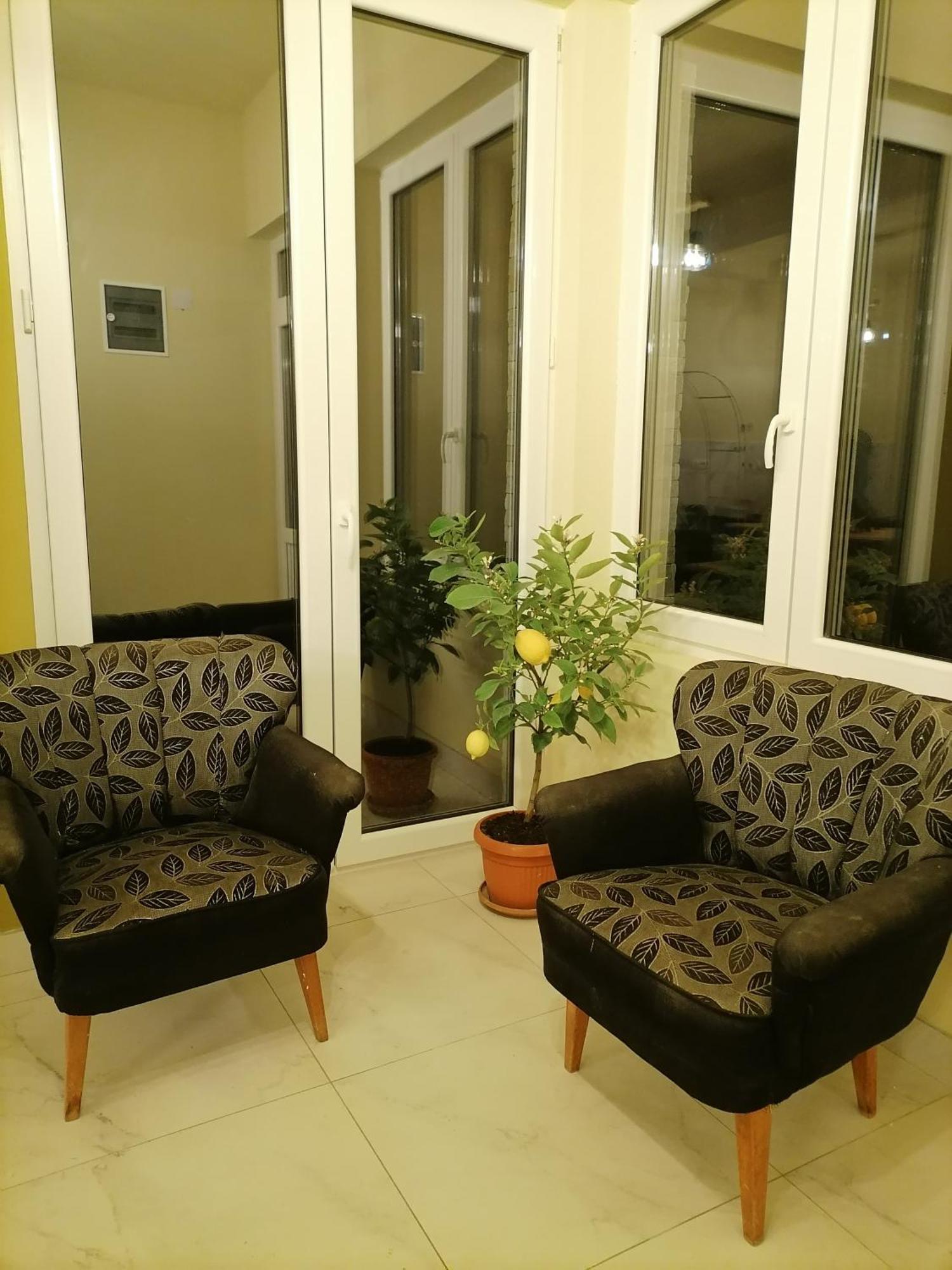 Villa Bozovic Zlatibor Eksteriør billede